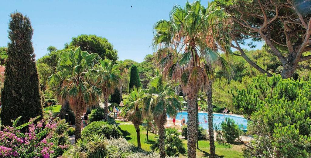 Badine Beach 5P Plage Piscine Balneo Clim Jardin Exotique Hyères Exteriör bild