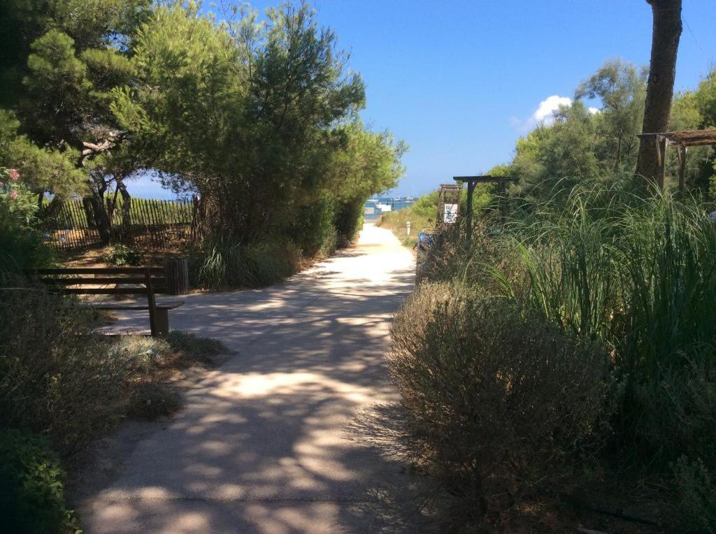 Badine Beach 5P Plage Piscine Balneo Clim Jardin Exotique Hyères Exteriör bild